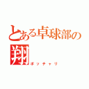 とある卓球部の翔（ポッチャリ）