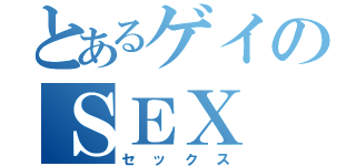 とあるゲイのＳＥＸ（セックス）