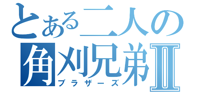 とある二人の角刈兄弟Ⅱ（ブラザーズ）