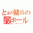 とある傭兵の段ボール（ダンボール）