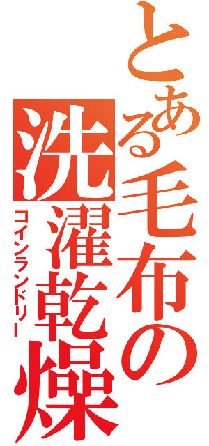 とある毛布の洗濯乾燥（コインランドリー）