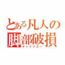 とある凡人の脚部破損（キャクブガー）