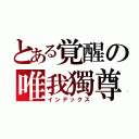 とある覚醒の唯我獨尊（インデックス）