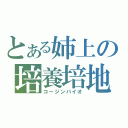 とある姉上の培養培地（コージンバイオ）