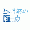 とある部隊の紅一点（インデックス）