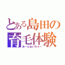 とある島田の育毛体験（あーとねいちゃー）