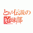 とある伝説の庭球部（ＳＳＴ）