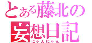 とある藤北の妄想日記（にゃんにゃん）