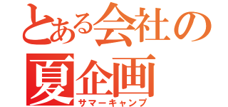 とある会社の夏企画（サマーキャンプ）