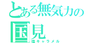 とある無気力の国見（塩キャラメル）