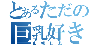 とあるただの巨乳好き（山根佳恭）