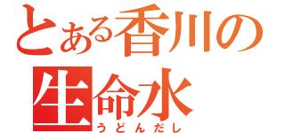 とある香川の生命水（うどんだし）