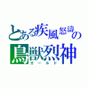 とある疾風怒濤の鳥獣烈神（ガールド）