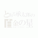 とある承太郎の白金の星（スタープラチナ）