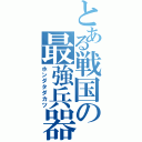 とある戦国の最強兵器（ホンダタダカツ）