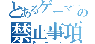 とあるゲーマーの禁止事項（チート）