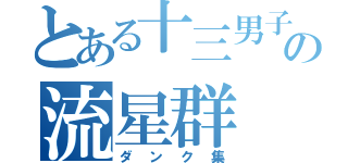 とある十三男子の流星群（ダンク集）