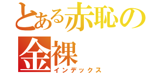 とある赤恥の金裸（インデックス）
