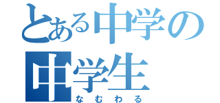 とある中学の中学生（なむわる）