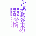 とある越谷東の林菜摘（インデックス）