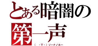 とある暗闇の第一声（（ ・∇・）ソーナノカー）