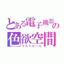 とある電子機器の色欲空間（ラストルーム）