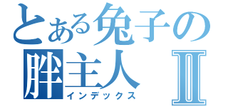 とある兔子の胖主人Ⅱ（インデックス）