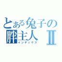 とある兔子の胖主人Ⅱ（インデックス）