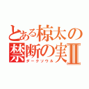 とある椋太の禁断の実Ⅱ（ダークソウル）