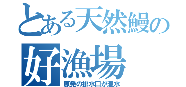 とある天然鰻の好漁場（原発の排水口が温水）