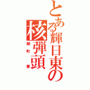 とある輝日東の核弾頭（棚町 薫）