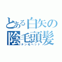 とある白矢の陰毛頭髪（チン毛ヘッド）