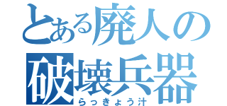 とある廃人の破壊兵器（らっきょう汁）