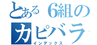 とある６組のカピバラ（インデックス）