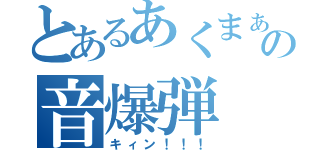 とあるあくまぁの音爆弾（キィン！！！）