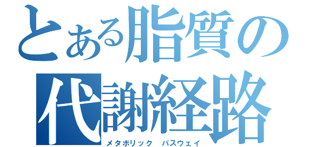 とある脂質の代謝経路（メタボリック　パスウェイ）