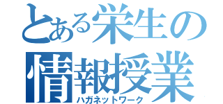 とある栄生の情報授業（ハガネットワーク）