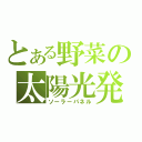 とある野菜の太陽光発電（ソーラーパネル）