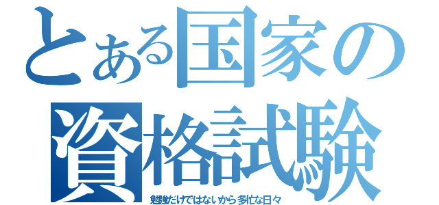 とある国家の資格試験（勉強だけではないから多忙な日々）