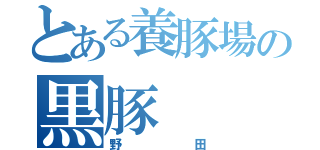 とある養豚場の黒豚（野田）