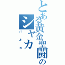 とある黄金聖闘士のシャカ（バルゴ）