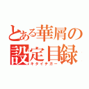 とある華屑の設定目録（キタイチガー）