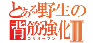 とある野生の背筋強化Ⅱ（ゴリオープン）