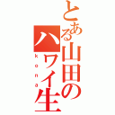 とある山田のハワイ生活（ｋｏｎａ）