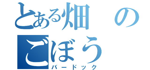 とある畑のごぼう（バードック）