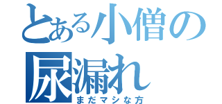 とある小僧の尿漏れ（まだマシな方）