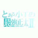 とある小丁の最強正太Ⅱ（傲嬌Ｘ天然Ｘ全黑）