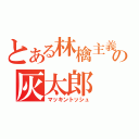 とある林檎主義の灰太郎（マッキントッシュ）