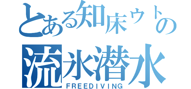 とある知床ウトロでの流氷潜水（ＦＲＥＥＤＩＶＩＮＧ）