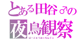 とある田谷♂の夜鳥観察（ばーど★うおっちんぐ☆）